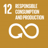 12 RESPONSIBLE CONSUMPTION AND PRODUCTION 12 RESPONSIBLE CONSUMPTION AND PRODUCTION