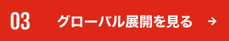 グローバル展開を見る
